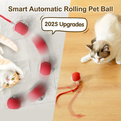 360° Auto-Rolling Cat Toy Ball