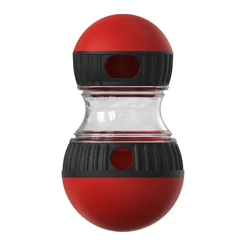 Dog treat dispenser