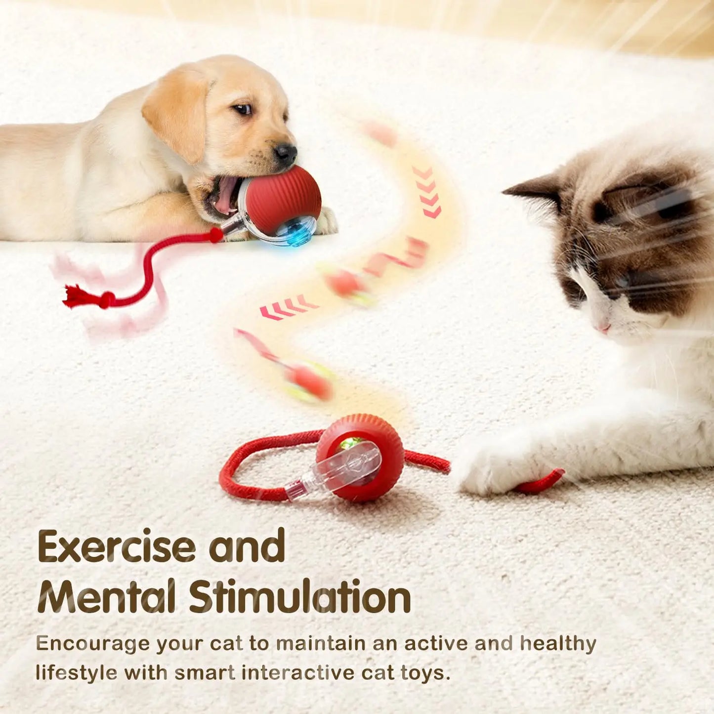 360° Auto-Rolling Cat Toy Ball