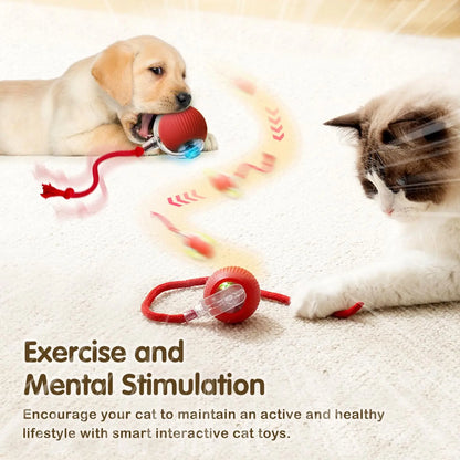 360° Auto-Rolling Cat Toy Ball