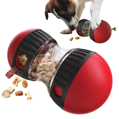 Dog treat dispenser