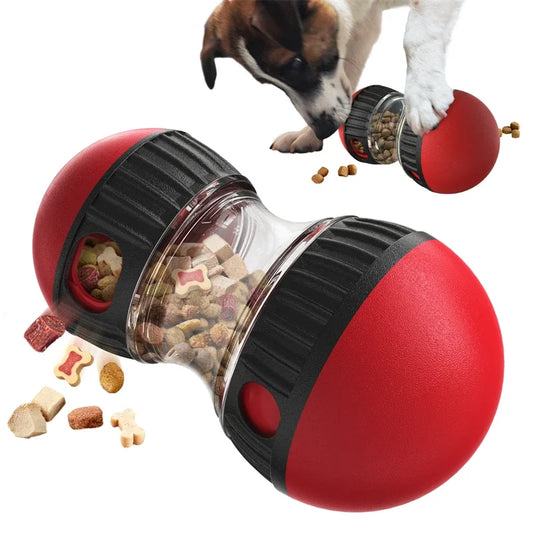 Dog treat dispenser