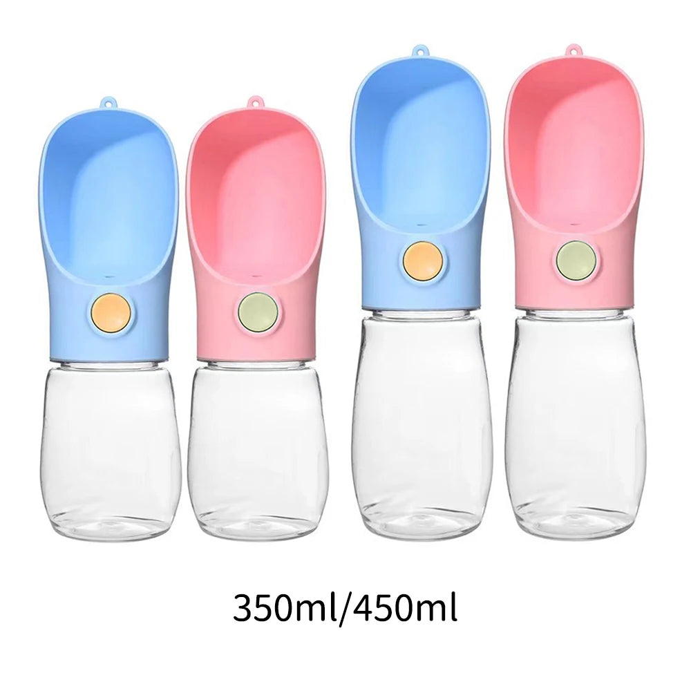 Portable Water Bottle