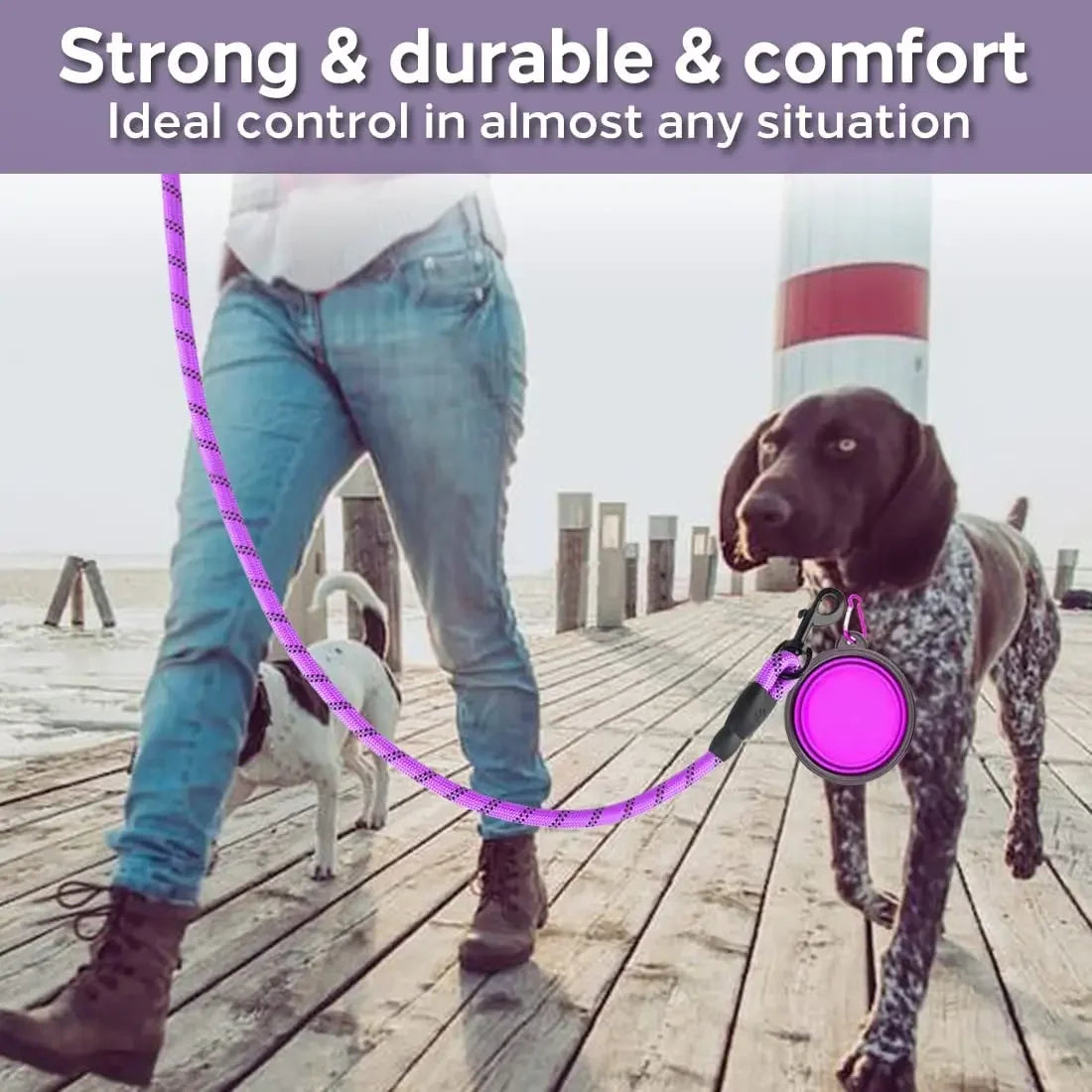 5ft PetCharm Dog Leash
