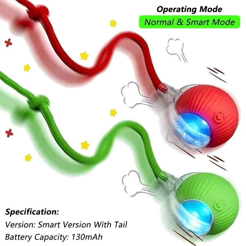 360° Auto-Rolling Cat Toy Ball