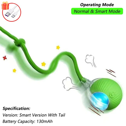 360° Auto-Rolling Cat Toy Ball