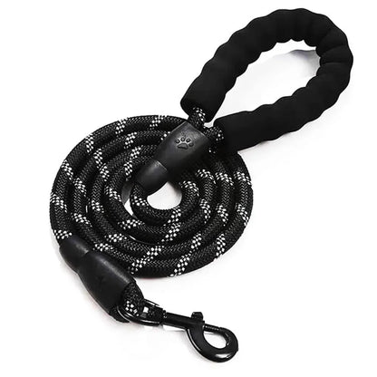 5ft PetCharm Dog Leash