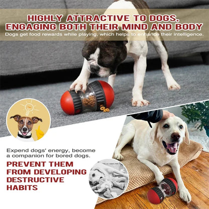 Dog treat dispenser