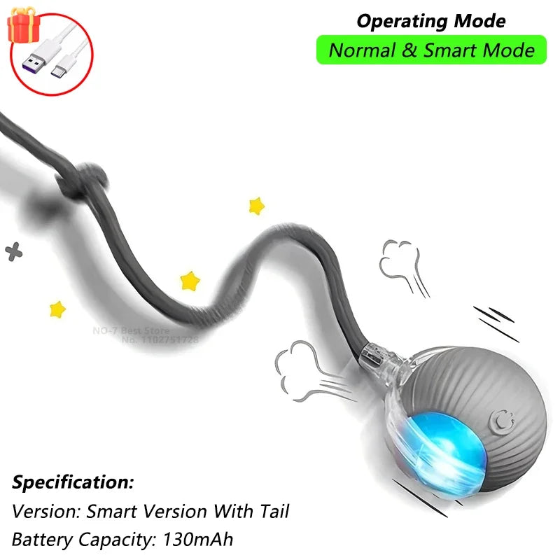 360° Auto-Rolling Cat Toy Ball
