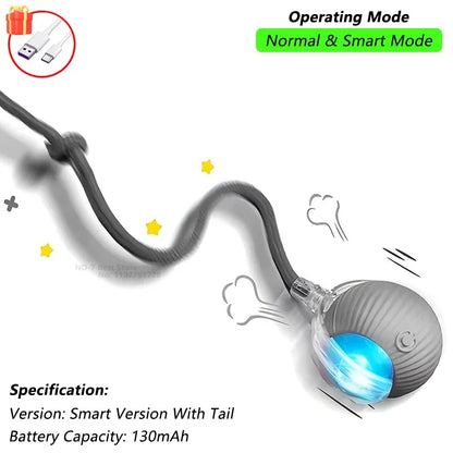 360° Auto-Rolling Cat Toy Ball