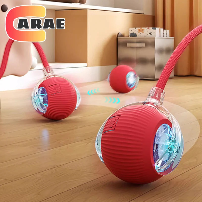 360° Auto-Rolling Cat Toy Ball