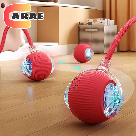 360° Auto-Rolling Cat Toy Ball