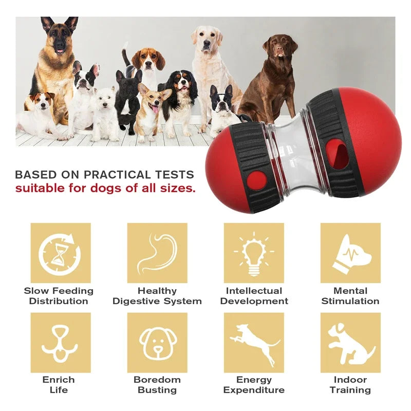 Dog treat dispenser