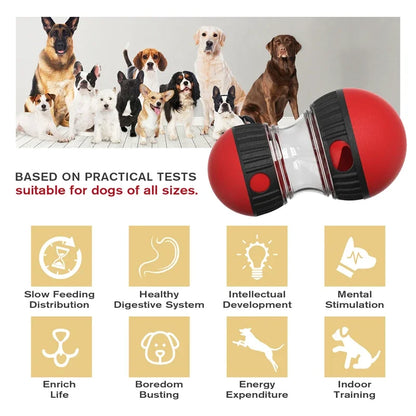 Dog treat dispenser