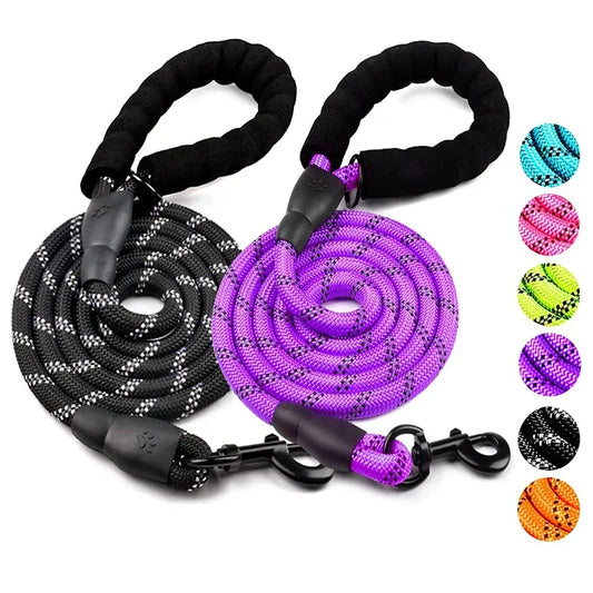 5ft PetCharm Dog Leash