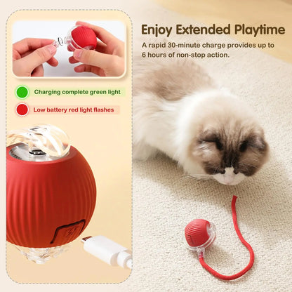 360° Auto-Rolling Cat Toy Ball