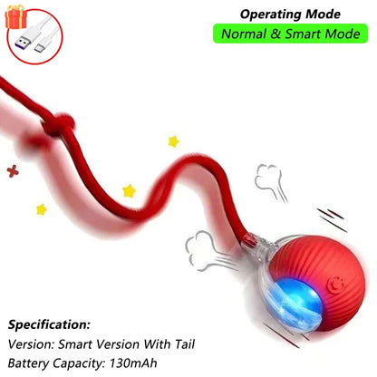 360° Auto-Rolling Cat Toy Ball