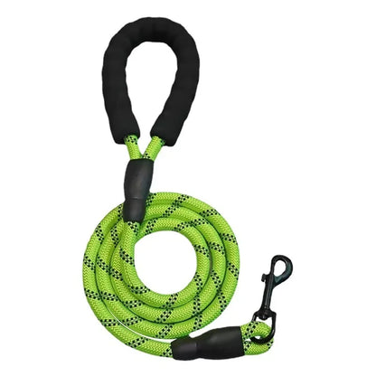 5ft PetCharm Dog Leash