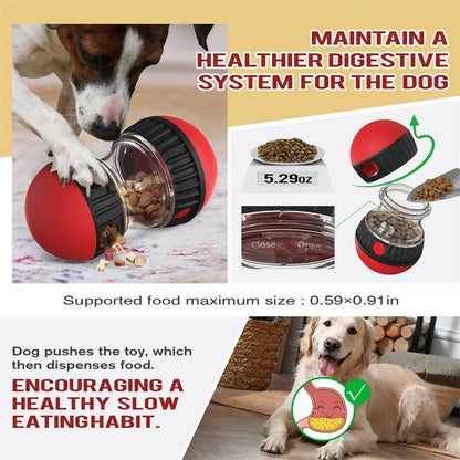 Dog treat dispenser