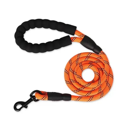 5ft PetCharm Dog Leash