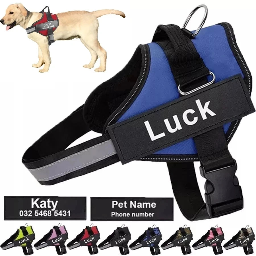 PetCharm ID Dog Harness