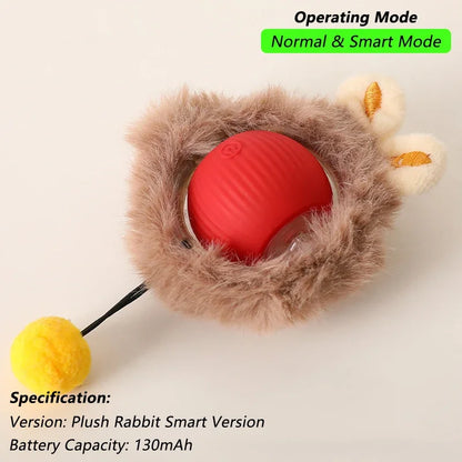 360° Auto-Rolling Cat Toy Ball