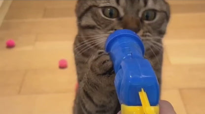 Plush Ball Cat Launcher Set
