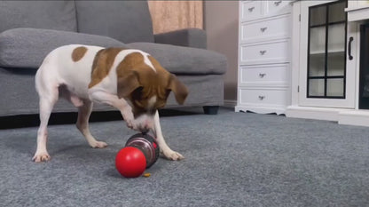 Dog treat dispenser