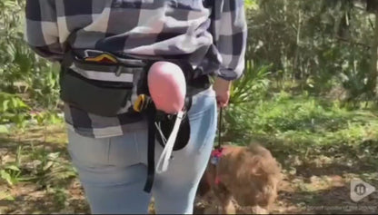ProTrainer Waist Pack